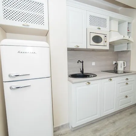 Apartament Ms-apart Retro Przy Parku *